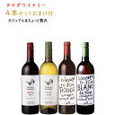 ワイン 飲み比べ タケダワイナリー カジュアル＆ちょぃ贅沢 750ml×4本セット おまけつき 送料無料 山形県 上山市