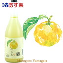 楯の川酒造 楯野川 酒造 子宝ゆず 720ml【常温便】【柚子のお酒】 リキュール
