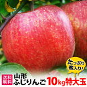 12月発送予定 フルーツ りんご サンふじ 10kg 特大玉(約32玉)ふじりんご 蜜入り 山形県産 送料無料 遠方送料+500円