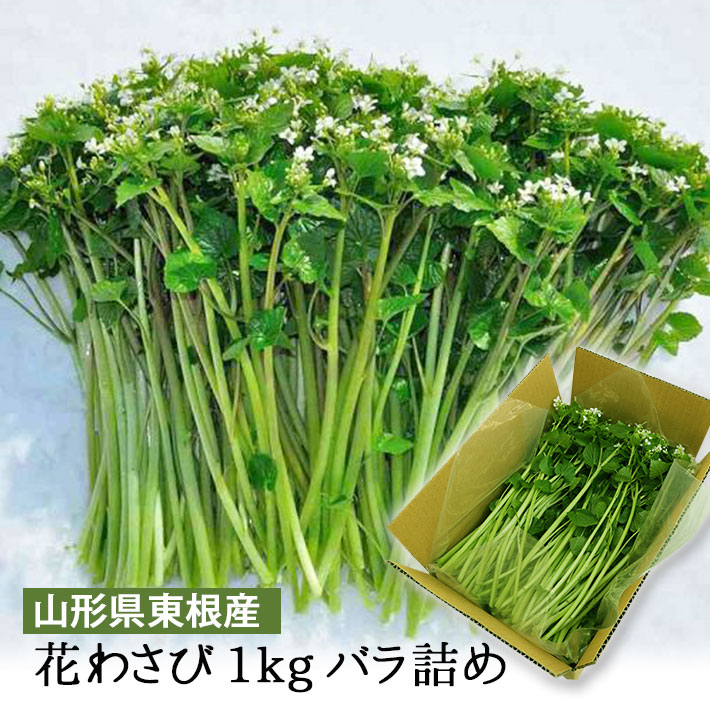 山形県産 花わさび 約1kgバラ詰 送料無料 山菜