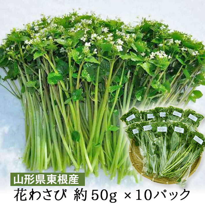 山形県産 花わさび 約50gx10パック 送料無料 山菜