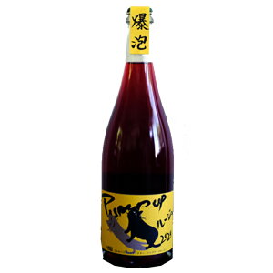 イエローマジックワイナリー パンプアップルージュ 2020 750ml Yellow Magic Winery Pump up rouge 2020 山形 南陽市 お歳暮 ギフト 帰省暮