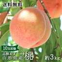 7月下旬 桃 山形県産 送料無料 白桃 黄桃 品種おまかせ 桃 約3kg(10玉前後)贈答用
