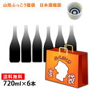 ふっこう 復袋TM 山形 地酒 日本酒 大吟醸入 訳あり福袋 720ml 6本セット おつまみ おまけつき 送料無料 飲んで応援 東北の酒蔵 オンライン飲み会にも 日本ふっこうプロジェクト 日本復興プロジェクト