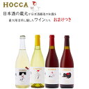 ワイン 飲み比べセット 奥羽自慢 ホッカワイナリー HOCCA 750ml×4本セット パート2 おまけつき 送料無料 山形県 鶴岡市セット GI YAMAGATA gi yamagata GI山形 山形ワイン 日本ワイン 国産ワイン 山形県産