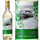 白ワイン 天童ワイン 天童ワイン白 やや辛口 720ml