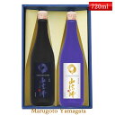 お中元 夏ギフト 日本酒 飲み比べ セット 山法師 六歌仙 720ml×2本セット 化粧箱入 送料無料 山形県 東根市