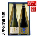 日本酒 楯野川 飲み比べ セット 純米大吟醸 清流 、凌冴 720ml 2本セット 化粧箱入 山形 地酒 帰省暮