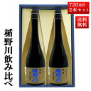 日本酒 楯野川 飲み比べ セット 純米大吟醸 凌冴 720ml 2本セット 化粧箱入 山形 地酒 帰省暮