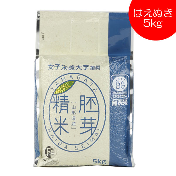 無洗米 はえぬき 胚芽精米 5kg 送料無料 山形県産 冬眠密着包装 真空パック 東北食糧