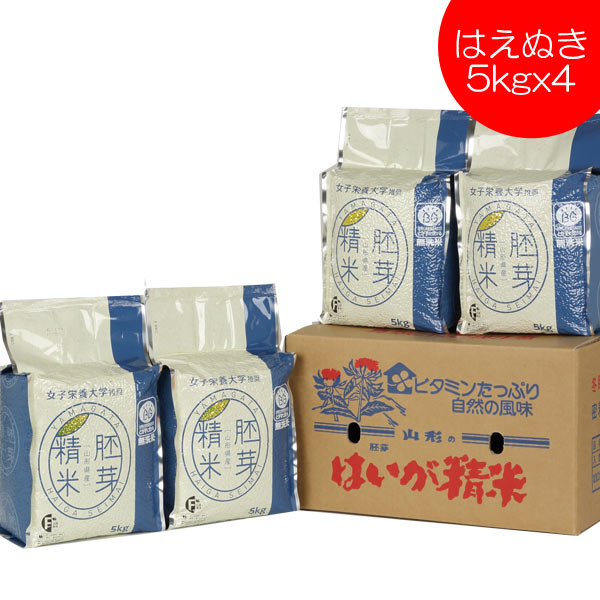 無洗米 はえぬき 胚芽精米 20kg 5kgx4 送料無料 山形県産 ギフト 帰省暮...