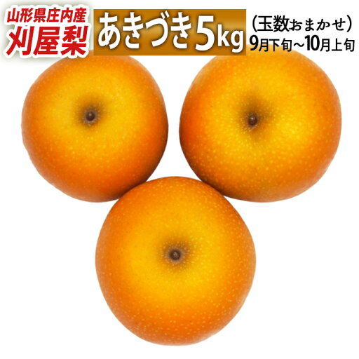 9月下旬〜10月15日頃お届け 山形県庄内酒田市産 刈屋梨 秋月(あきづき) 約5kg 玉数おまかせ 生産元直送の為同梱不可 希少な和梨 人気の品種 9月下旬〜10月15日頃お届け 山形県庄内酒田市産 刈屋梨 秋月(あきづき) 約5kg 玉数おまかせ 生産元直送の為同梱不可 希少な和梨 人気の品種