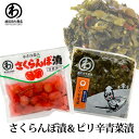 漬物 2種セット漬物 ピリ辛青菜 さくらんぼ漬 渡辺近七商店 山形の漬物 ネコポス