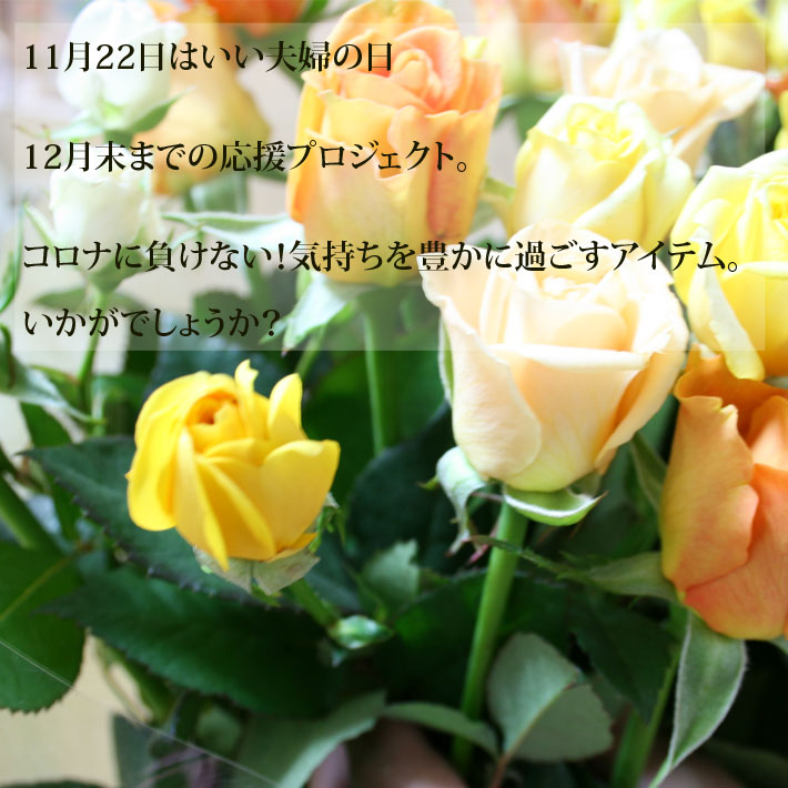 花 バラ 30本 山形県 寒河江市産 大沼バラ園 切り花 生産者直送のため同梱不可 送...