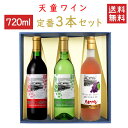 ワイン 飲み比べ 天童ワイン 定番 720mlx3本セット 天童赤x天童白xマスカットロゼ 化粧箱入れ 送料無料 山形県 天童市