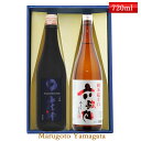 日本酒 飲み比べ セット 山法師 六歌仙 720ml×2本セット 化粧箱入 送料無料 山形県 東根市