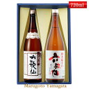 日本酒 飲み比べ セット 六歌仙 720ml×2本セット 化粧箱入 送料無料 山形県 東根市