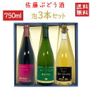 ワイン 飲み比べセット 佐藤ぶどう酒 金渓ワイン 定番 スパークリング 750mlx3本セット スパーク白辛xスパーク赤やや辛xスパークシードル白辛 化粧箱入れ 送料無料 山形県 南陽市