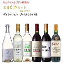 ギフト ワイン 飲み比べ 月山ワイン山ぶどう研究所 定番720~750ml×6本セット おまけつき 送料無料 山形県 鶴岡市