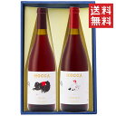 ワイン 飲み比べセット 奥羽自慢 ホッカワイナリー HOCCA ピノノワールxシラー 750mlx2本セット 化粧箱入 送料無料 山形県 鶴岡市セット GI YAMAGATA gi yamagata GI山形 山形ワイン 日本ワイン 国産ワイン 山形県産