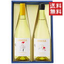 ワイン 飲み比べセット 奥羽自慢 ホッカワイナリー HOCCA シャルドネxピノグリ 2本セット 化粧箱入 送料無料 山形県 鶴岡市セット GI YAMAGAT...