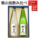 日本酒 飲み比べセット 雅山流 720ml 2本 純米吟醸 葉月 無濾過 生酒 ＆ 翠月 山形 新藤酒造 九郎左衛門