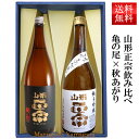 日本酒 飲み比べセット 山形正宗 純米吟醸亀の尾 と 純米吟醸秋あがり 720ml 2本セット 化粧箱入