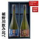 日本酒 楯野川 飲み比べ セット 純米大吟醸 源流 ひやおろし と 美しき渓流 720ml 2本セット 山形 地酒 クール便
