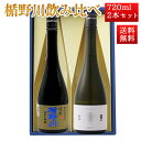 日本酒 楯野川 飲み比べ セット 純米大吟醸 亀の尾 と 山形限定 辛口凌冴 720ml 2本セット 山形 地酒