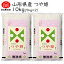 米 2023年度 令和5年度産 10kg 無洗米 つや姫 5kg×2 山形県産 BG無洗米 東北食糧 送料無料