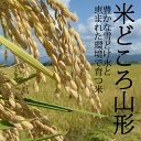 米 10kg 令和5年産 長期備蓄 無洗米 はえぬき 夢味米 10kg （2kgx5袋） 冬眠密着包装 真空パック 送料無料 山形県産 東北食糧 長期備蓄米 非常用 防災食 2