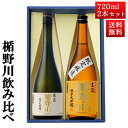 日本酒 飲み比べ セット 楯の川酒造 楯野川 純米大吟醸 720ml 2本セット 化粧箱付（清流 主流）送料無料 山形 地酒