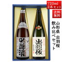 日本酒 飲み比べセット 出羽桜 桜花吟醸と純米吟醸プリンセスミチコ 720ml × 2本セット 山形県 天童市 出羽桜酒造