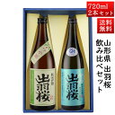 日本酒 飲み比べセット 出羽桜 純米吟醸つや姫 と 純米大吟醸雪女神 720ml 2本セット 山形県 天童市 出羽桜酒造