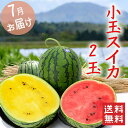 御中元 フルーツ果物 フルーツ スイカ 2色の小玉すいかセット 山形県産 7月中旬～7月下旬発送 2 ...