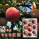 9月中旬発送予定 すもも 秋姫 1.2kg(8玉〜9玉) 山形県産 送料無料 プラム