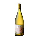ナチュラルワイン 一家ワインズ Y!G! 2022 750ml クール便 山形 東根 IKKA WINES ワイガヤ ナチュール