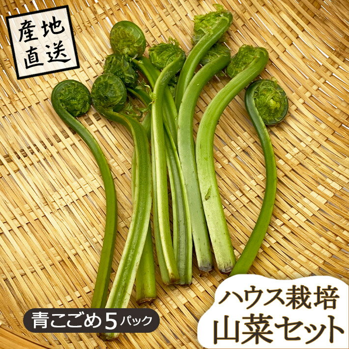 山菜 山形県産 青こごめ 5パック ハウス栽培 産地直送のため他商品と同梱不可