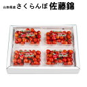 6月中旬〜末日お届け 山形県産さくらんぼ佐藤錦 家庭用 お徳用(L・M)(200g×4)(S-9)