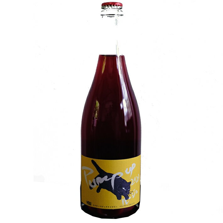 ナチュラルワイン イエローマジックワイナリー パンプアップ ルージュ 2022 750ml Yellow Magic Winery 山形県 南陽市 山形ワイン 日本ワイン 国産ワイン