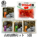 漬物 5種類セット さくらんぼ漬・ピリ辛青菜漬・紅花漬・蔵王胡瓜・味わらび ネコポス送料無料 山形県 渡辺近七商店