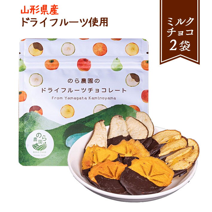 バレンタイン ミックスドライフルーツのチョコレートがけ 国産 のら農園 45gx2袋 (ミルクチョコ味) ネコポス 送料無料 山形県産 かみのやま温泉 プチギフトのサムネイル