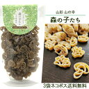 玉谷製麺 森の子たち パスタ100gx3袋セット きのこ マカロニ かわいい お弁当のデコレーション おしゃれ カラーパスタ デコ弁 お料理の色どり デコレーシ...