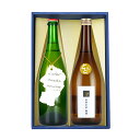 シードル 梅酒 飲み比べセット 山形正宗 シードル正宗(王林) とろとろ梅酒 720ml 2本セット 化粧箱入