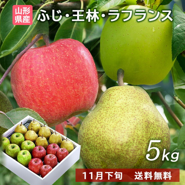お歳暮 冬ギフト フルーツ 山形 ラフランス ＆ 富士りんご & 王林 5kg 詰め合わせセット送料無料【北海..