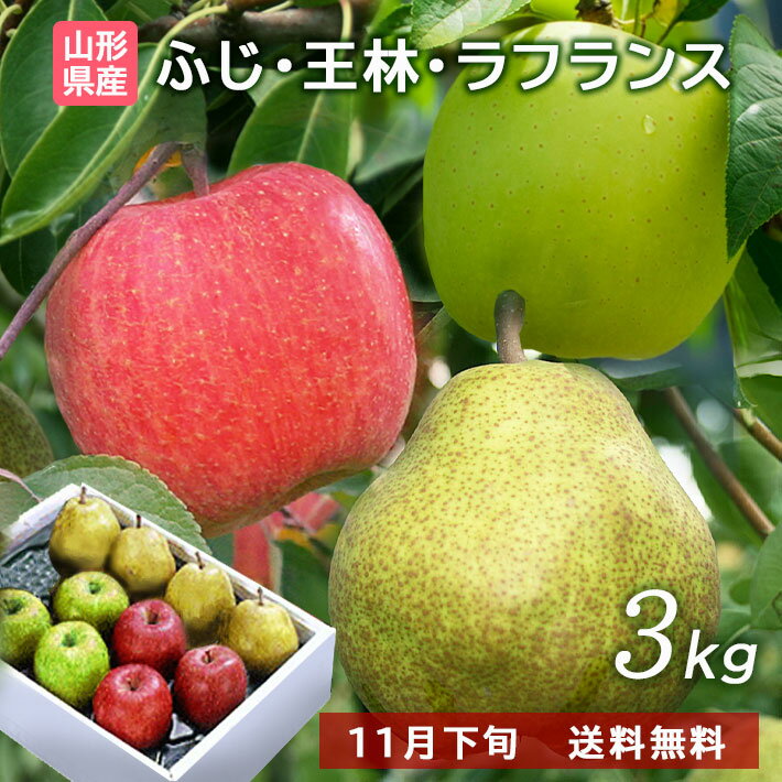 お歳暮 冬ギフト フルーツ 山形 ラフランス ＆ 富士りんご & 王林 3kg 詰め合わせセット送料無料【北海..