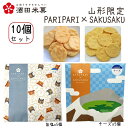 プチギフト 酒田米菓 PARIPARI × SAKUSAKU 旨塩 ×チーズ 10個セット(各5個×2) 送料無料 プチギフト 山形限定 オランダせんべい