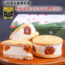 ギフト スイーツ さくらんぼ サンド バタークリーム チーズ クッキー 冷凍便 のら農園 生産元直送のため同梱不可