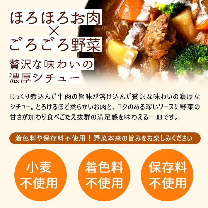 お中元 夏ギフトト ビーフシチュー 200g×5袋 セット スープ お手軽 時短 保存食 保存料不使用 着色料不使用 無添加 レトルト ナチュラルカフェ 山形 送料無料 お惣菜 常温保存 おかず yamagatamaru-10010556 まるごと山形 サンプル画像2
