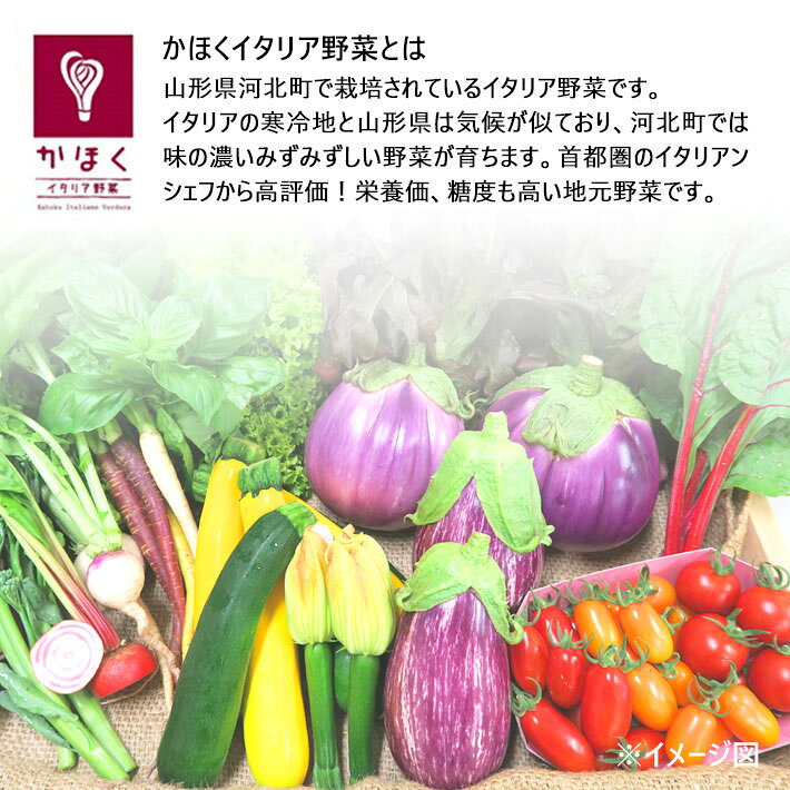 お中元 夏ギフトト ビーフシチュー 200g×5袋 セット スープ お手軽 時短 保存食 保存料不使用 着色料不使用 無添加 レトルト ナチュラルカフェ 山形 送料無料 お惣菜 常温保存 おかず yamagatamaru-10010556 まるごと山形 サンプル画像3
